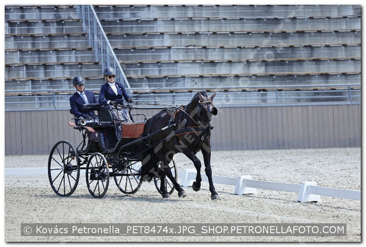 A kép az eredeti csökkentett reprezentációja