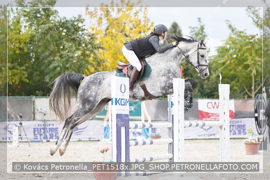 A kép az eredeti csökkentett reprezentációja