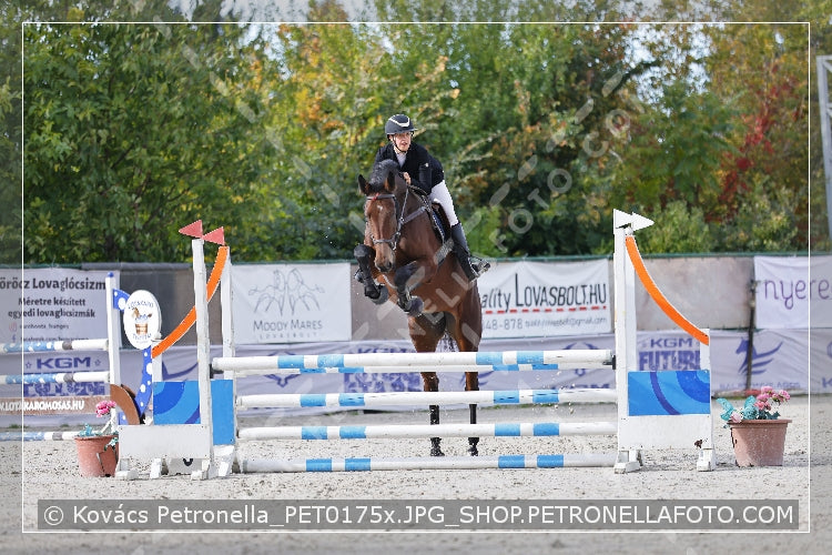 A kép az eredeti csökkentett reprezentációja