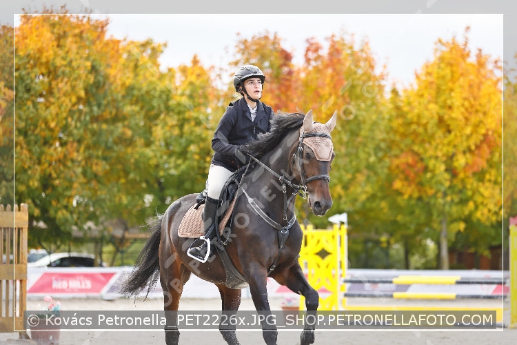 A kép az eredeti csökkentett reprezentációja