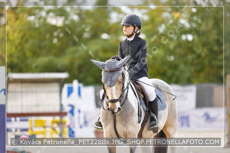 A kép az eredeti csökkentett reprezentációja