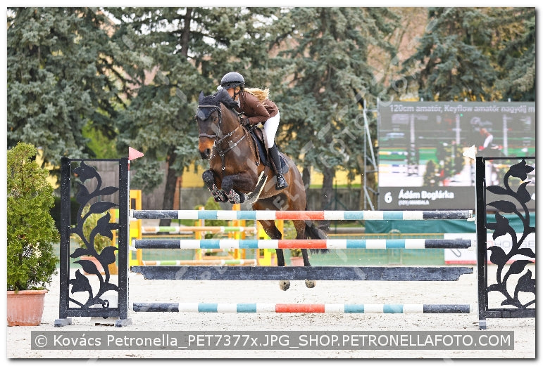 A kép az eredeti csökkentett reprezentációja