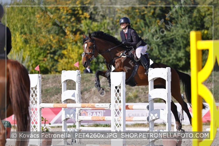 A kép az eredeti csökkentett reprezentációja