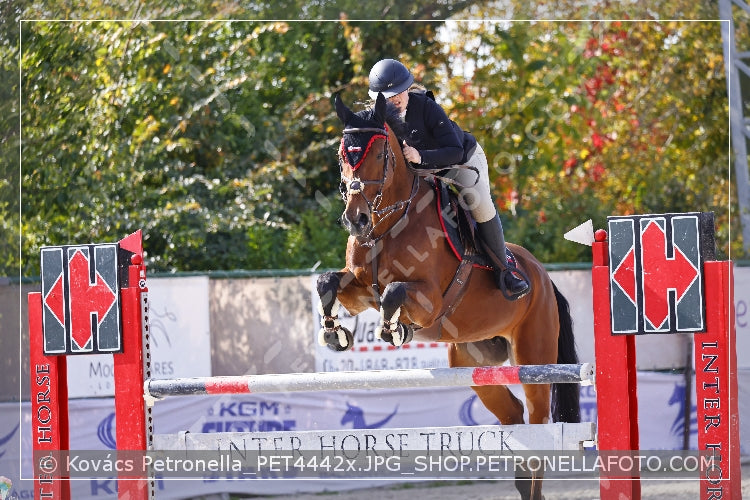 A kép az eredeti csökkentett reprezentációja