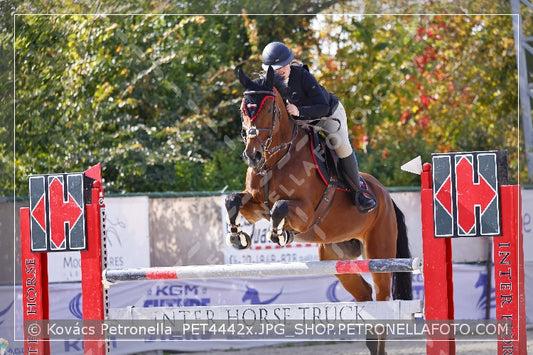A kép az eredeti csökkentett reprezentációja