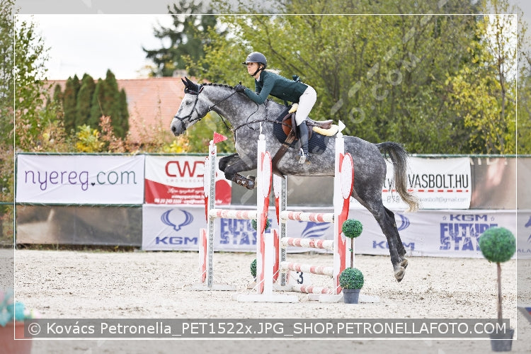 A kép az eredeti csökkentett reprezentációja
