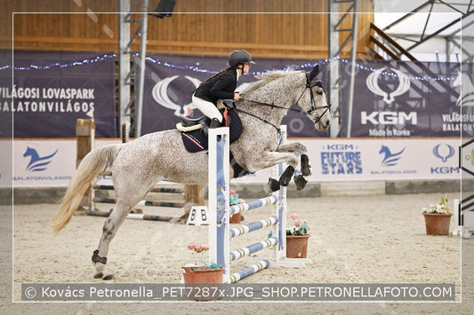A kép az eredeti csökkentett reprezentációja