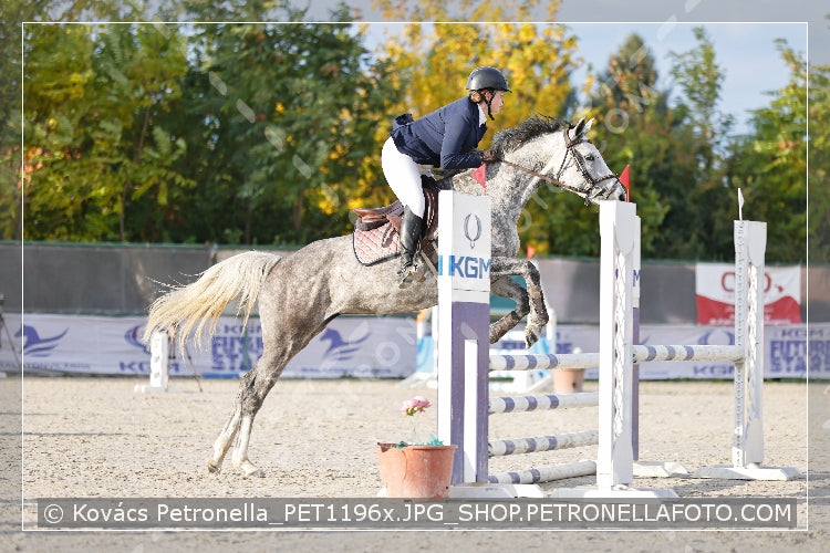 A kép az eredeti csökkentett reprezentációja