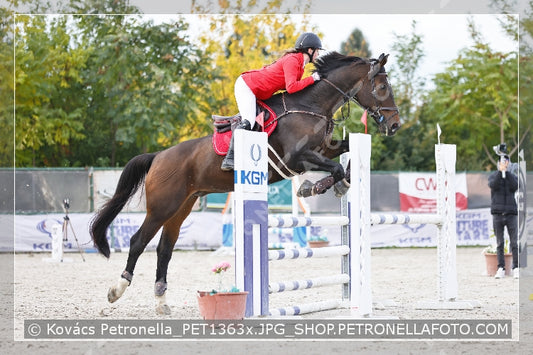 A kép az eredeti csökkentett reprezentációja