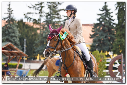 A kép az eredeti csökkentett reprezentációja