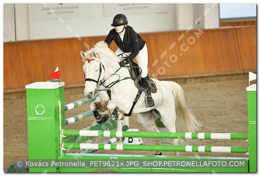 A kép az eredeti csökkentett reprezentációja