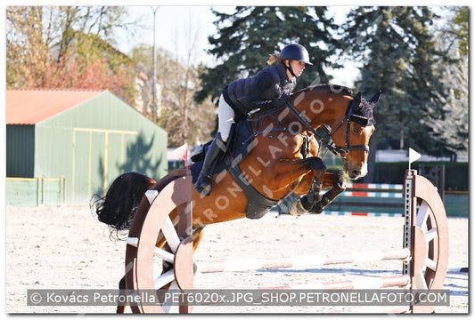 A kép az eredeti csökkentett reprezentációja