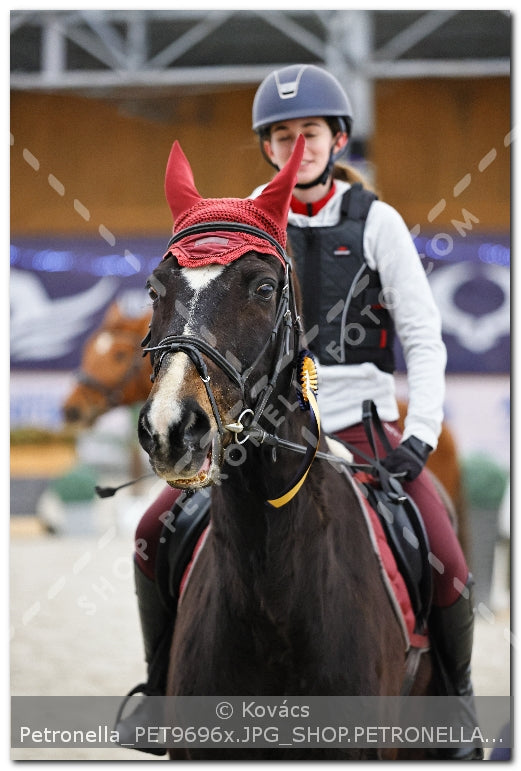 A kép az eredeti csökkentett reprezentációja