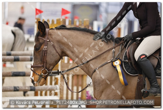 A kép az eredeti csökkentett reprezentációja