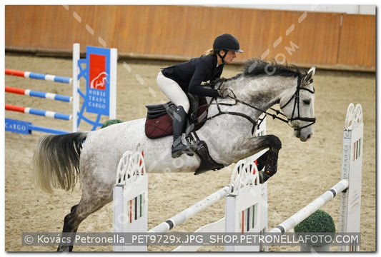 A kép az eredeti csökkentett reprezentációja