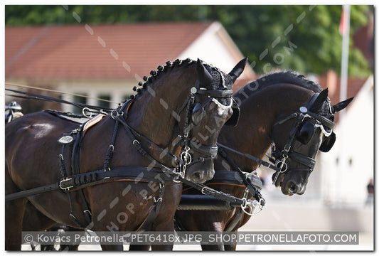 A kép az eredeti csökkentett reprezentációja