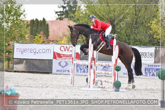 A kép az eredeti csökkentett reprezentációja