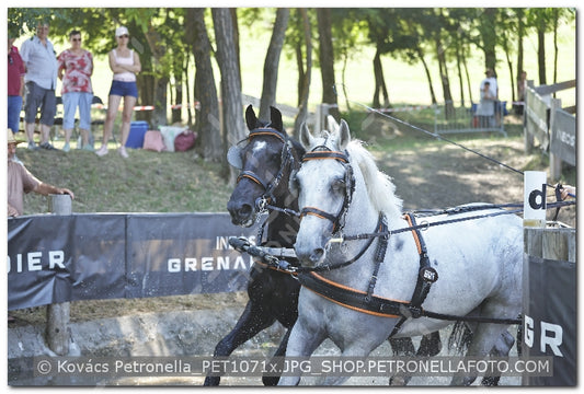 A kép az eredeti csökkentett reprezentációja