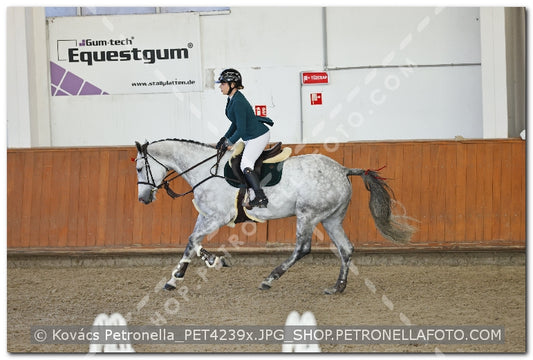 A kép az eredeti csökkentett reprezentációja