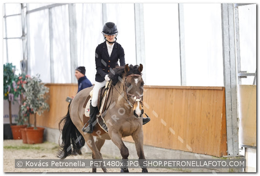 A kép az eredeti csökkentett reprezentációja