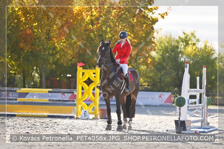 A kép az eredeti csökkentett reprezentációja