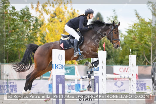 A kép az eredeti csökkentett reprezentációja