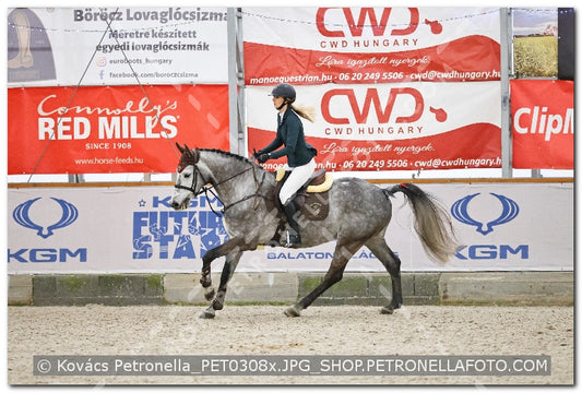 A kép az eredeti csökkentett reprezentációja