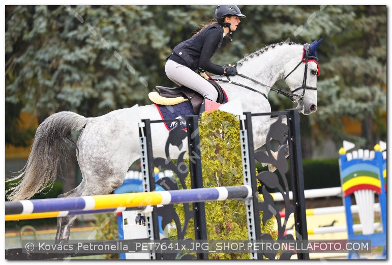 A kép az eredeti csökkentett reprezentációja