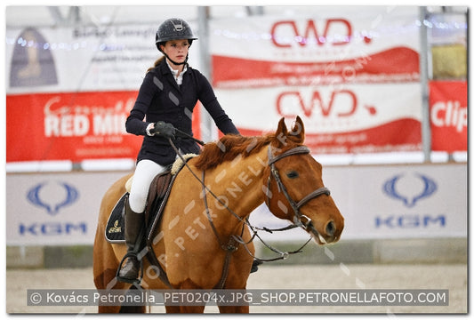 A kép az eredeti csökkentett reprezentációja