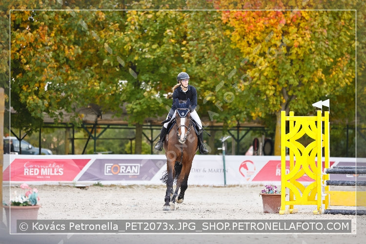 A kép az eredeti csökkentett reprezentációja