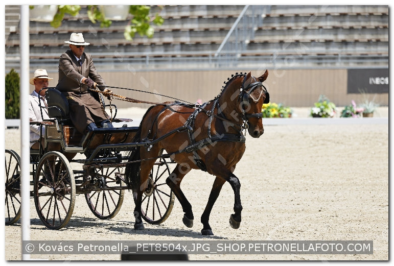 A kép az eredeti csökkentett reprezentációja