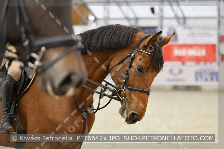 A kép az eredeti csökkentett reprezentációja