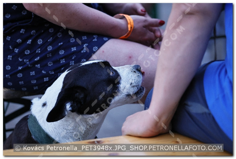 A kép az eredeti csökkentett reprezentációja