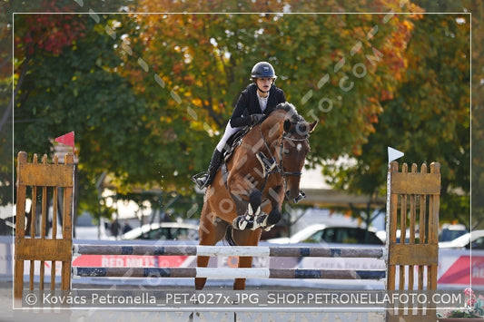 A kép az eredeti csökkentett reprezentációja