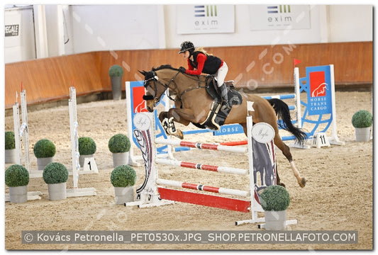 A kép az eredeti csökkentett reprezentációja