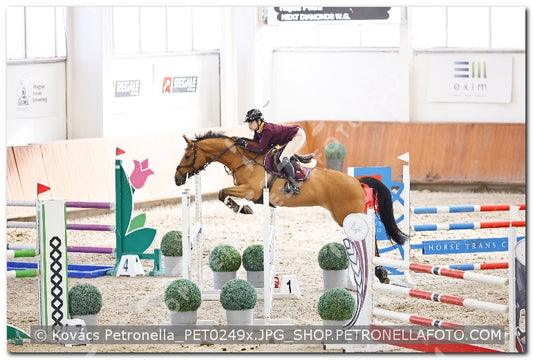 A kép az eredeti csökkentett reprezentációja
