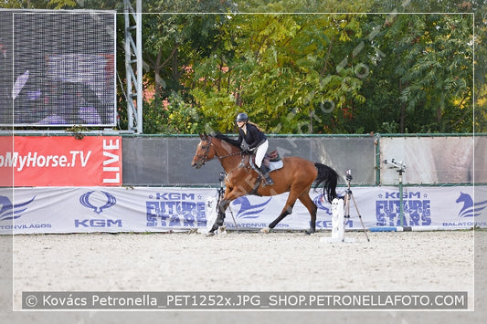 A kép az eredeti csökkentett reprezentációja