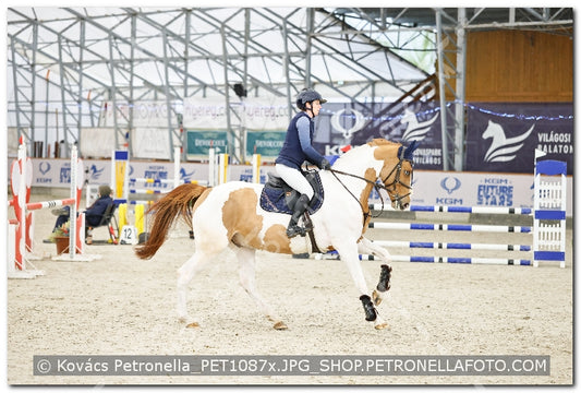 A kép az eredeti csökkentett reprezentációja