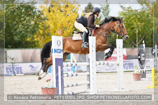 A kép az eredeti csökkentett reprezentációja