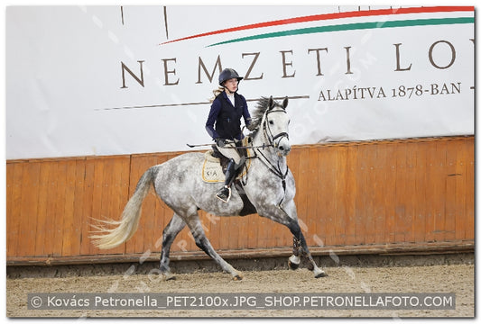 A kép az eredeti csökkentett reprezentációja