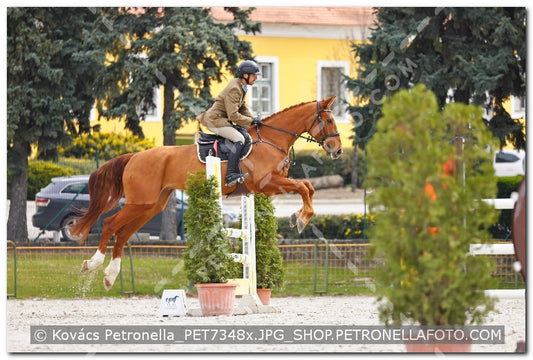A kép az eredeti csökkentett reprezentációja