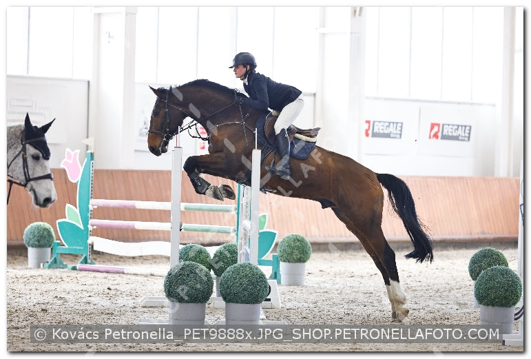 A kép az eredeti csökkentett reprezentációja
