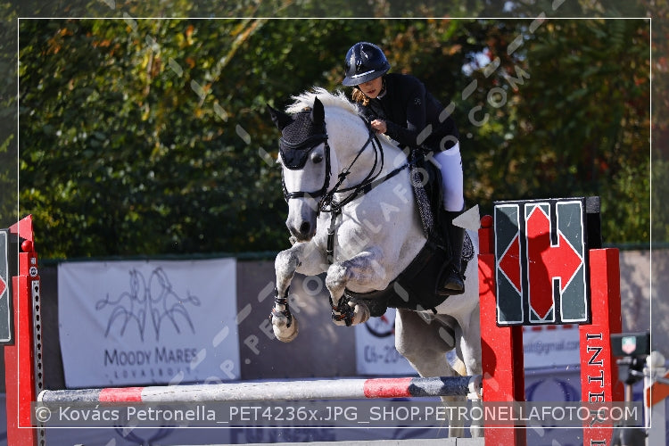 A kép az eredeti csökkentett reprezentációja