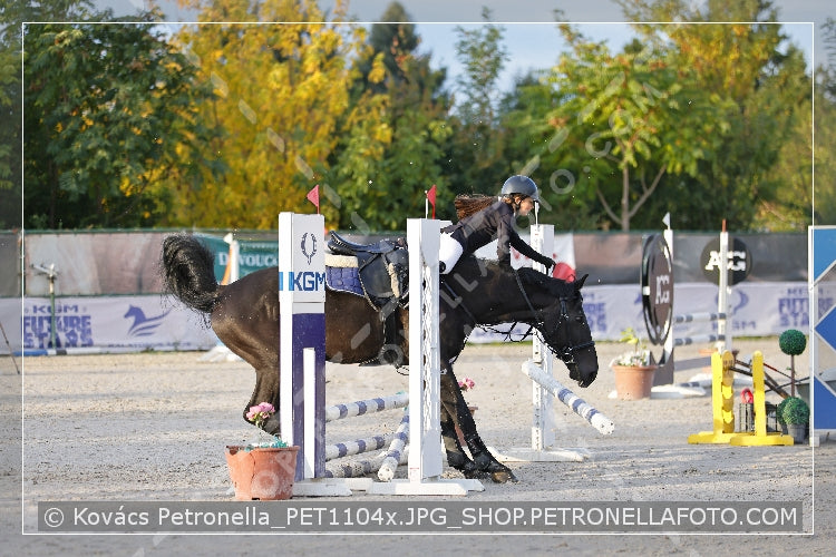 A kép az eredeti csökkentett reprezentációja