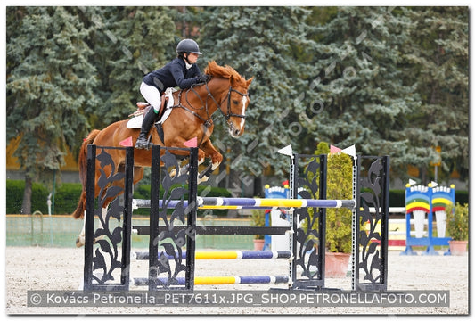 A kép az eredeti csökkentett reprezentációja
