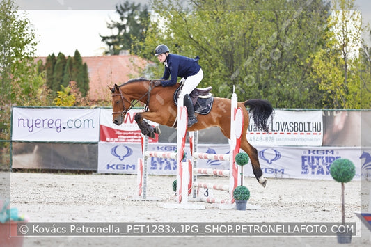 A kép az eredeti csökkentett reprezentációja