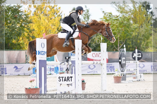 A kép az eredeti csökkentett reprezentációja