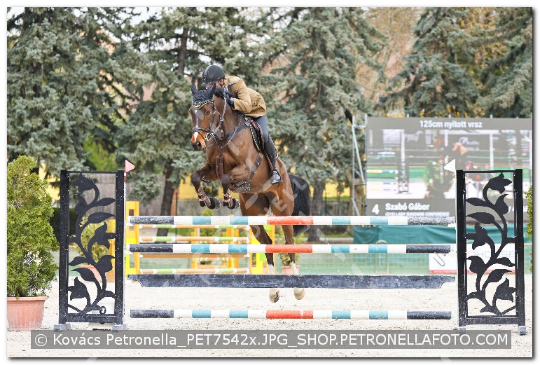 A kép az eredeti csökkentett reprezentációja