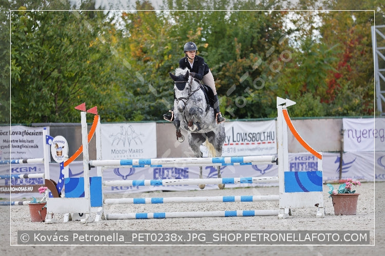 A kép az eredeti csökkentett reprezentációja