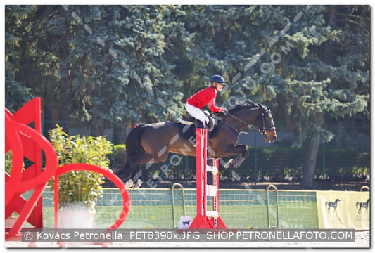 A kép az eredeti csökkentett reprezentációja
